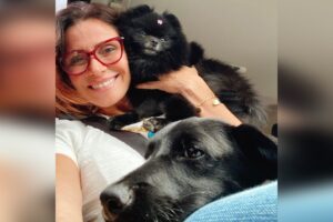 Atriz Giovanna Antonelli adota cachorrinha