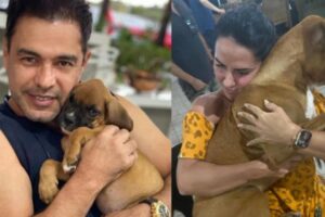 Zezé di Camargo e Gracieli perdem cãozinho e pedem ajuda nas redes sociais