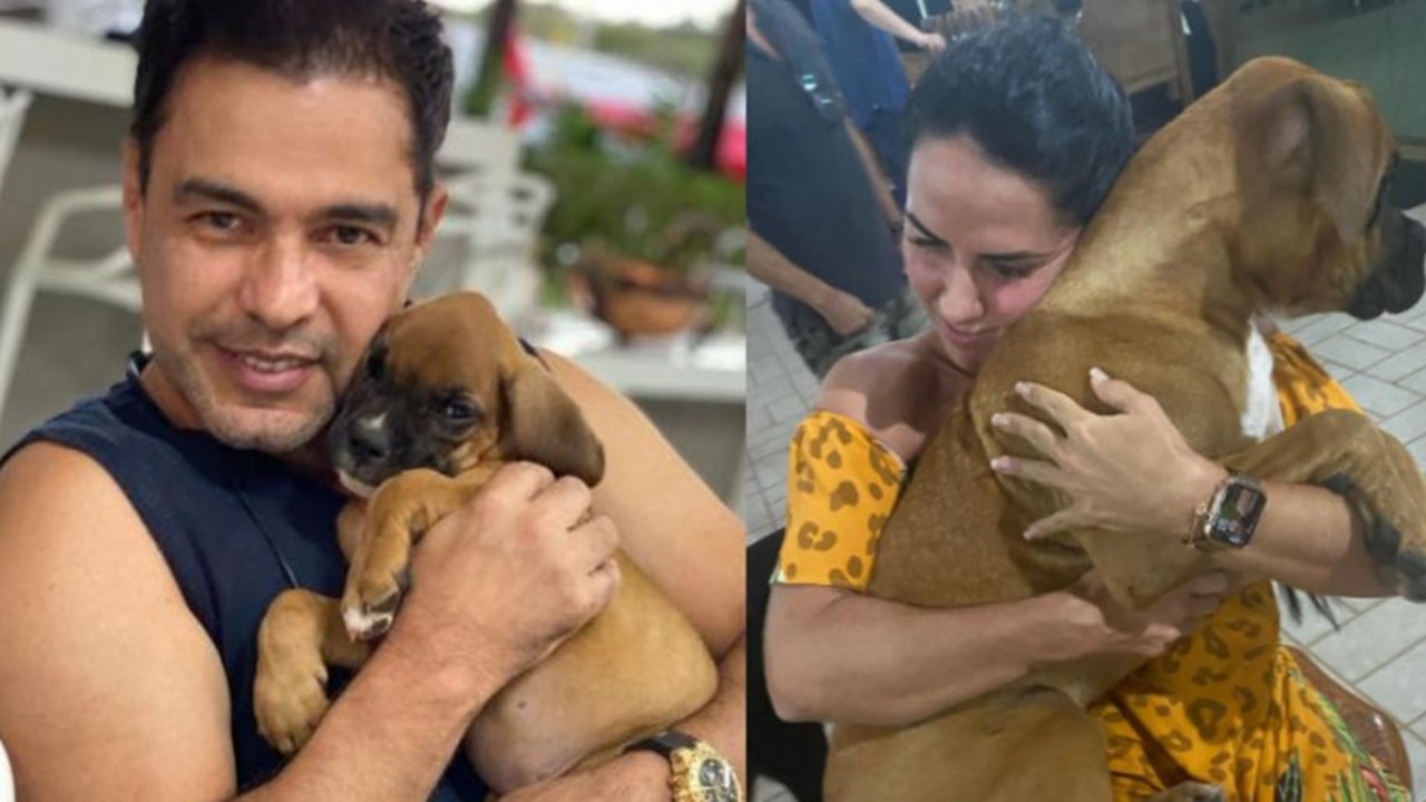 Zezé di Camargo e Gracieli perdem cãozinho e pedem ajuda nas redes sociais
