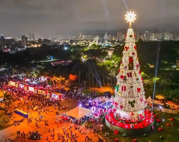 Com 57 metros, árvore de Natal do Ibirapuera é inaugurada e é a maior da  cidade de SP; entrada é gratuita, Guia SP