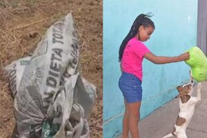 Heroína-mirim-menina-de-9-anos-resgata-cadela-abandonada-em-Anápolis