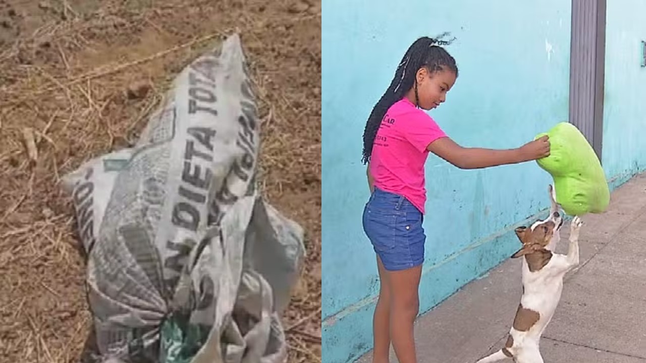 Heroína-mirim-menina-de-9-anos-resgata-cadela-abandonada-em-Anápolis