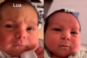 eliezer-lua-ravi